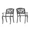 GDFStudio Outdoor Cast Aluminum Dining Chairs (Set of 2) Shiny Copper